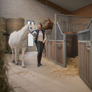 komet_dc-bank_jubilaeums-spots_pferd_1_1