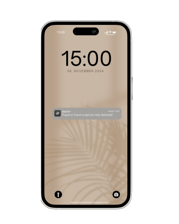 DebiXFraud DebiXFraud